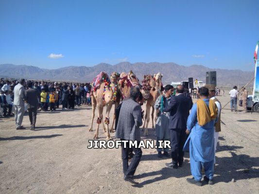 جشنواره شتر در قلعه گنج