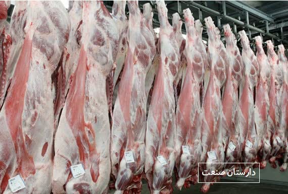 گوشت تولید قراردادی جامعه عشایری خرداد وارد بازار می‌شود